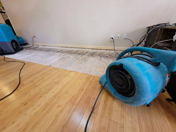 Professional Sewage Cleanup technician working in Huntland, TN